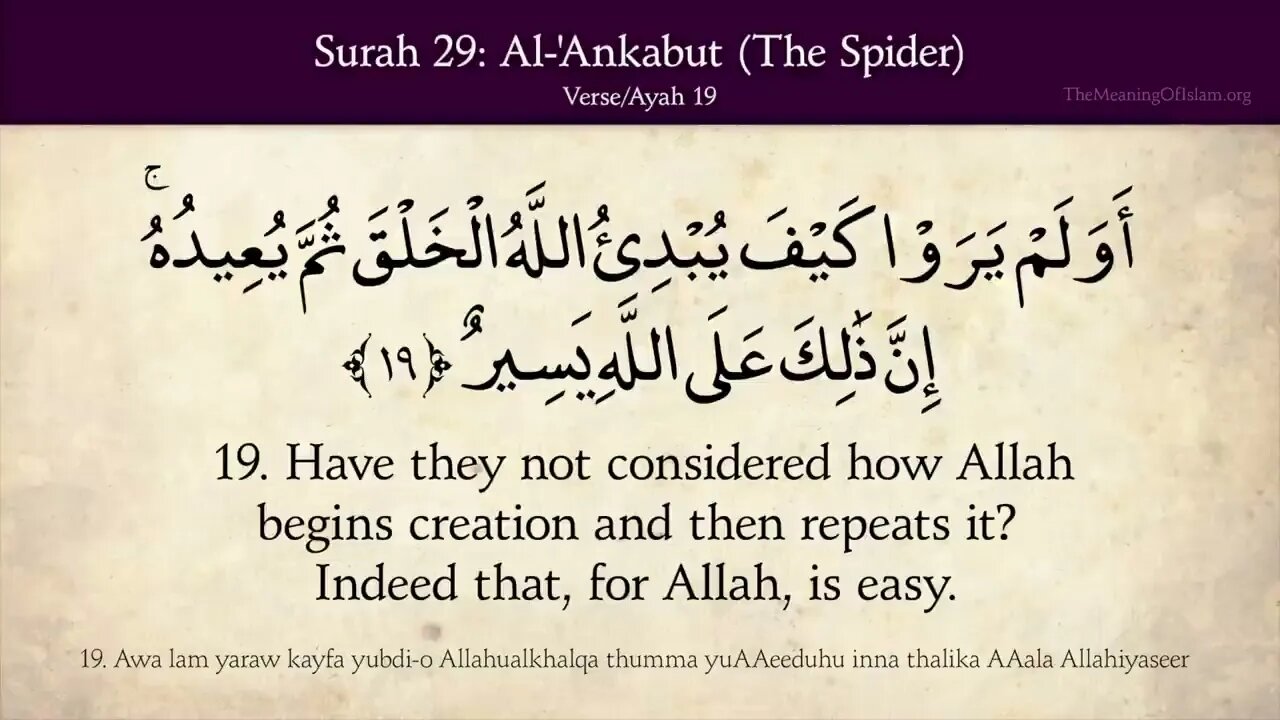 English Quran | Chapter 29 | Surah Al-Ankabut ( The Spider )