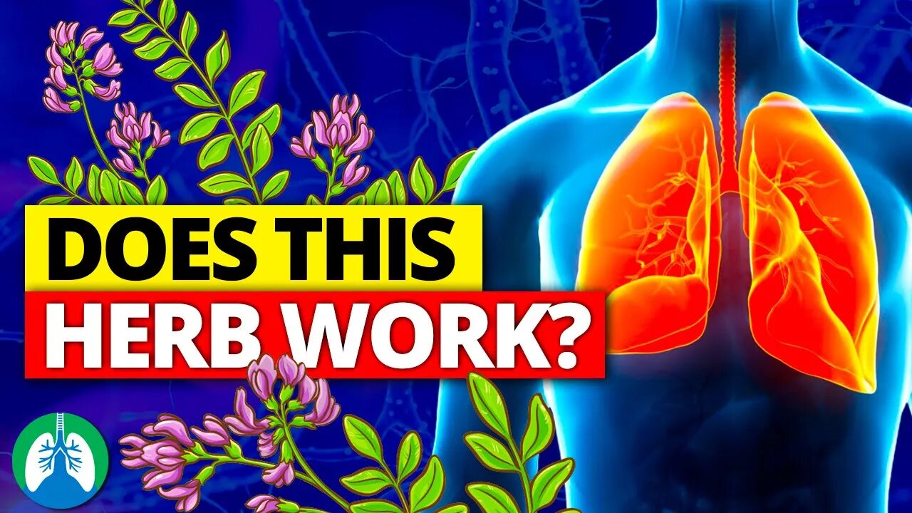 How to Detox and Cleanse Your Lungs with Astragalus ❓