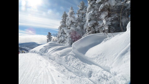 Ski Trip japan 2022