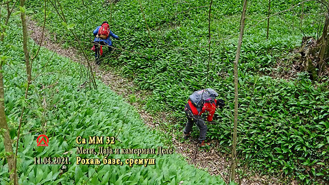 20210411.2 SaMM32 Rohalj baze, sremuš