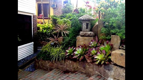 Philippines Urban Garden Tour 2022/ Plant Collections in the Philippines/ Simple Gardening ideas