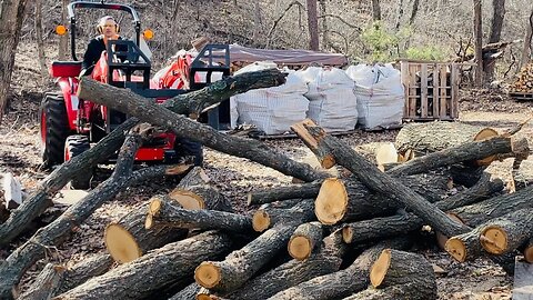 Working In The Woodyard - You Win Some, You Lose Some