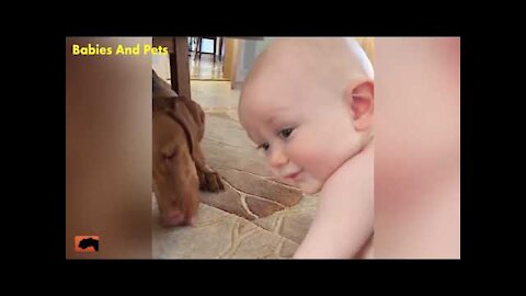 Funny video of baby and dog playing together