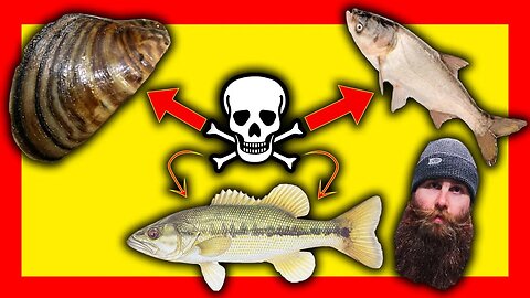 This is going to RUIN Bass Fishing...