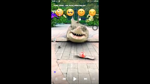 Funny SHARK ( FUNNY FACTS )