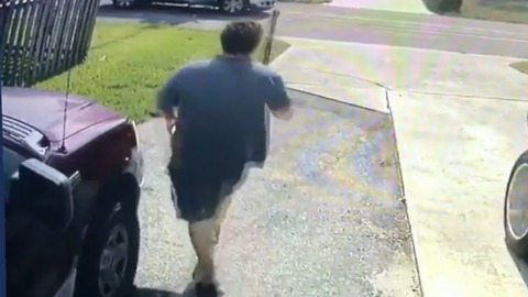 Lawn Equipment and tools snatched from Lake Worth yards in broad daylight