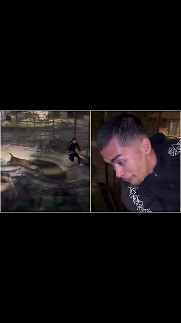 RIP! Sneako almost gets eaten by a tiger