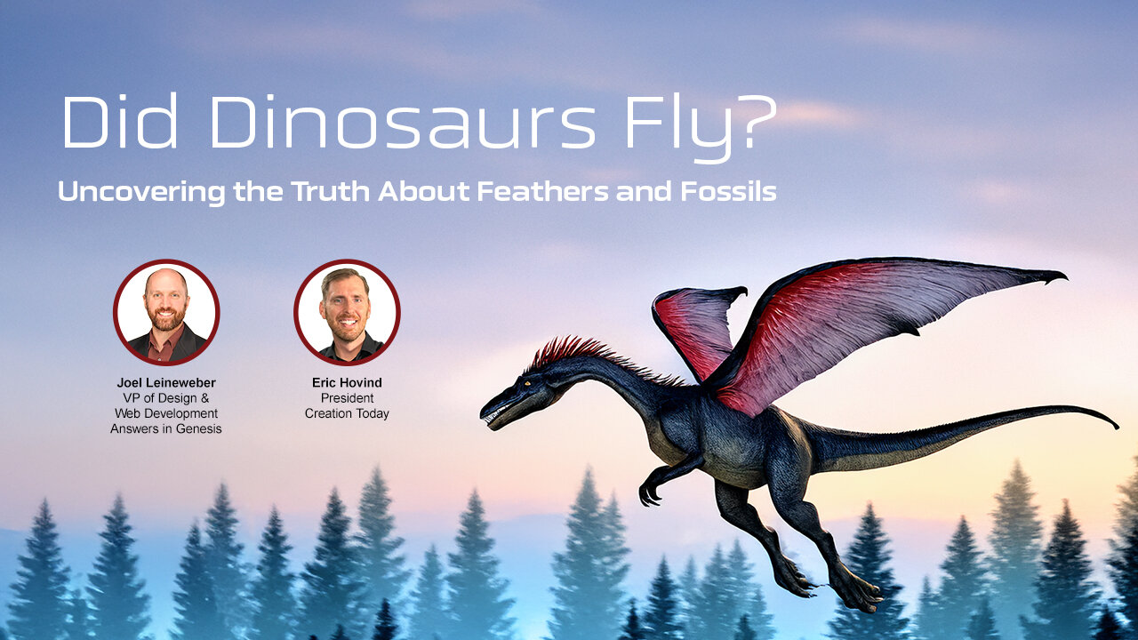 Did Dinosaurs Fly? Feathers & Fossils | Eric Hovind & Joel Leineweber | Creation Today Show #397