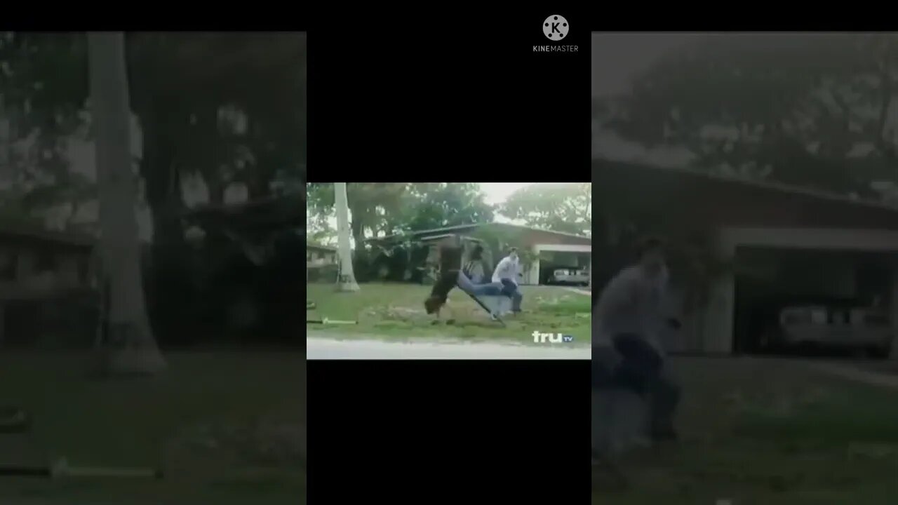 Funny fails