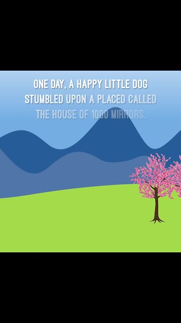 House of 1000 mirrors [GMG Originals]