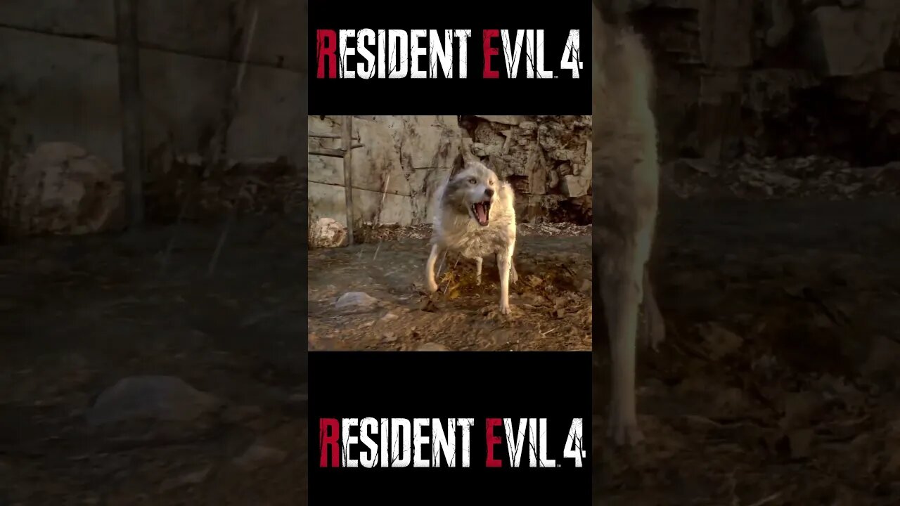 O Cachorro Veio RESIDENT EVIL 4 Remake #shorts