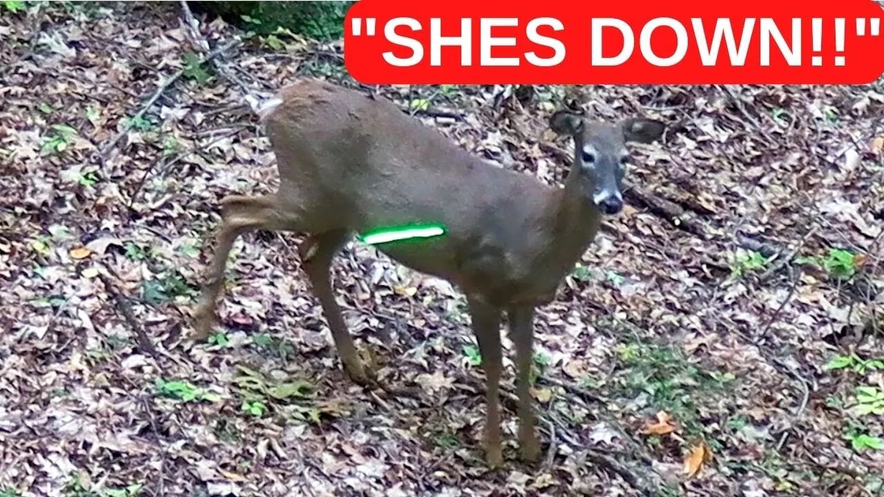 Doe Down (Smoked at 10yds)