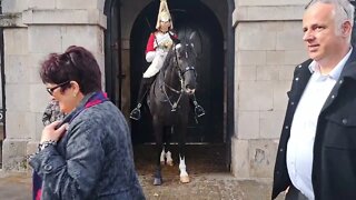 the kings guard horse #horseguardsparade