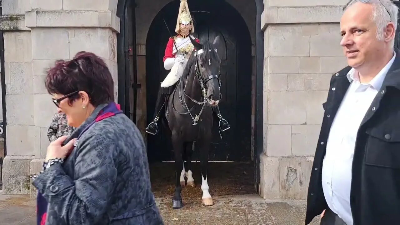 the kings guard horse #horseguardsparade