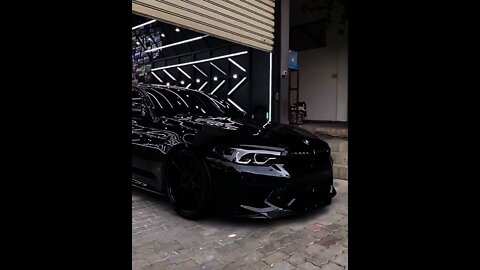 Shining Beast BMW