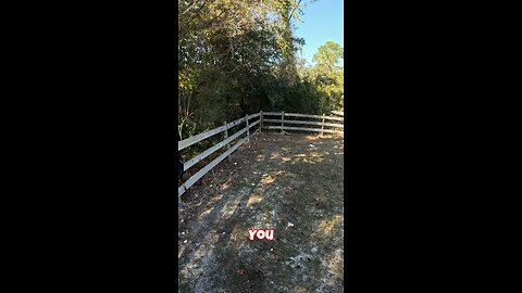 Questions with MOTOxDJ