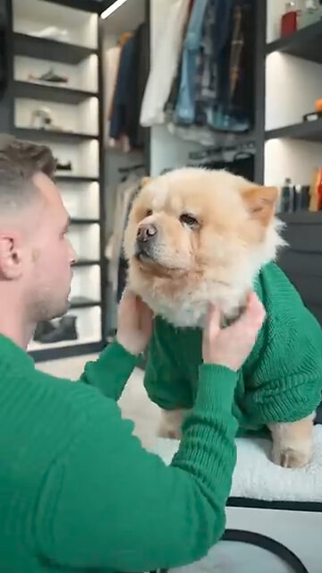 Who wore it best_ 🦁#short#