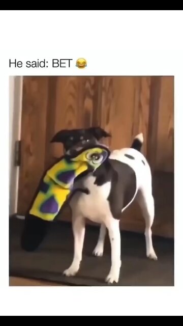 That was his plan the hole time