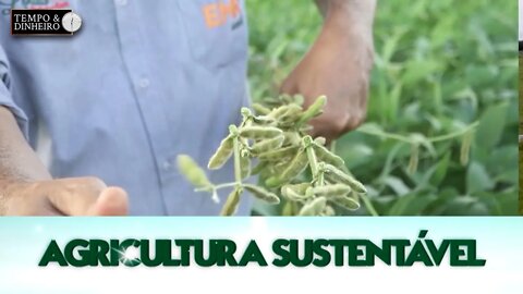 Agricultura Sustentável - com Frederico Olivi