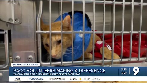 PACC volunteers making a difference