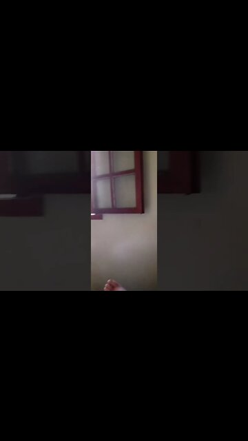 #dogshoe , #animals , #dogs. #shorts