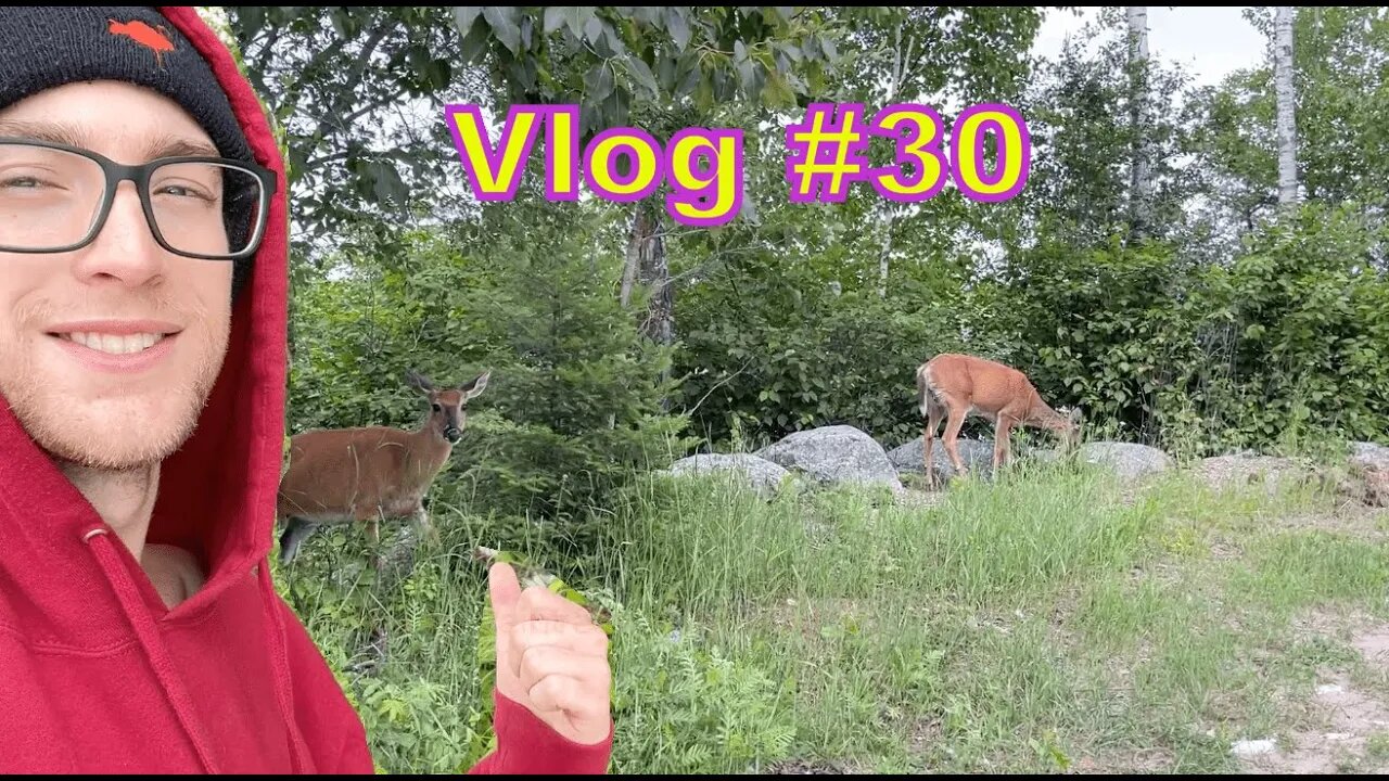 Rosie's Vlog #30 THE MOST DEER I'VE EVER SEEN! ONTARIO BAY SIDE!