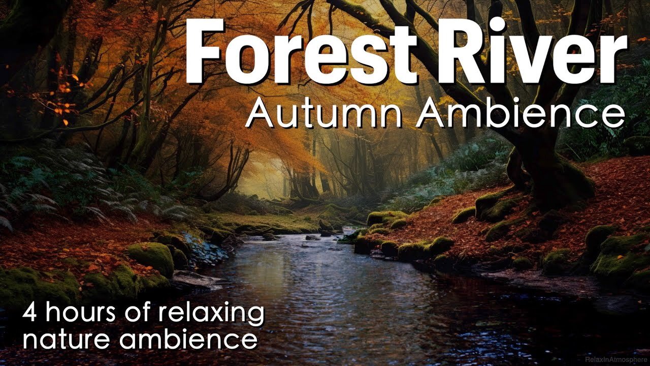 Forest River | Autumn Ambience | River Sounds With Crickets | Sounds For Relaxing | For 4 Hours