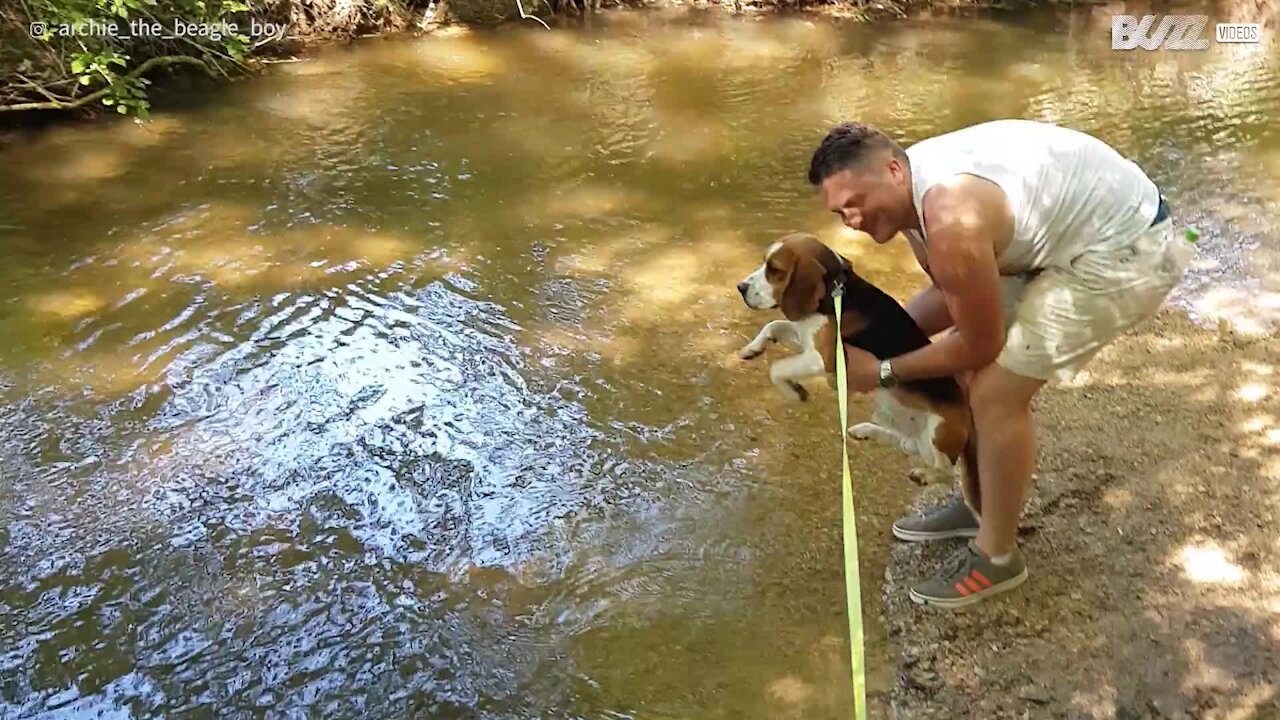 Já viu um cachorro nadando no ar?