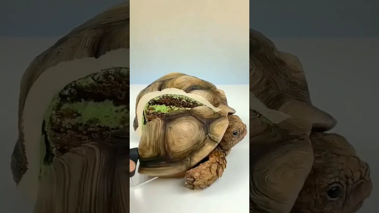 most interesting clip #youtubeshorts #viral #new #ytshorts #funtime #trending