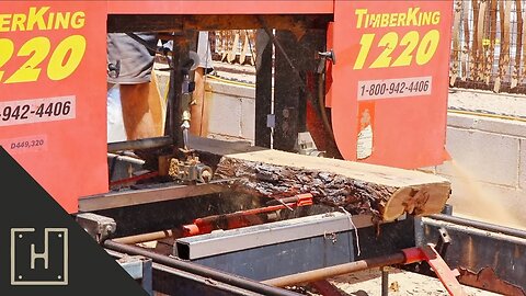 LOGS INTO LUMBER | Milling Mesquite Logs On A Bandsaw Mill