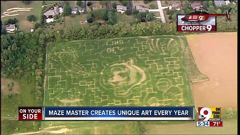 Bengals Maze