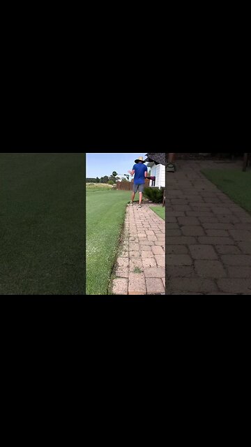 Catching up on some Trimming