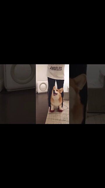 Kundalini Dance ....this will make ..., #short