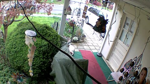 2_WEST_FLOODLIGHT_VIDEO_CAM_2023-04-07T17_33_24-0400.mp4