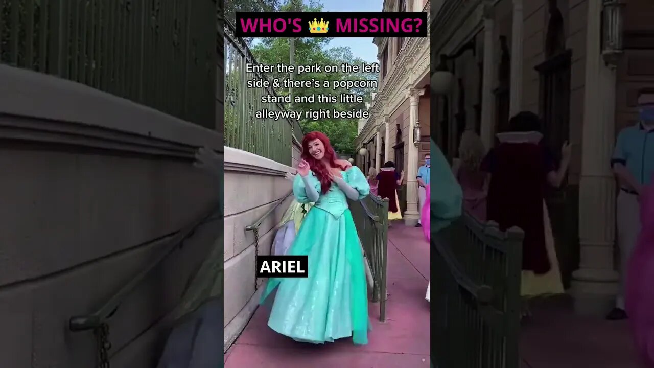 Disney Princess Spotting:👑🏰 The Ultimate Viewing Point Revealed! Disney Vlog #shorts #shortsdisney