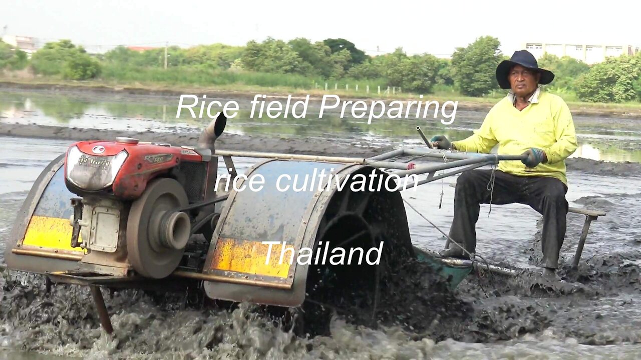 Rice field preparation for rice cultivation in Thailand