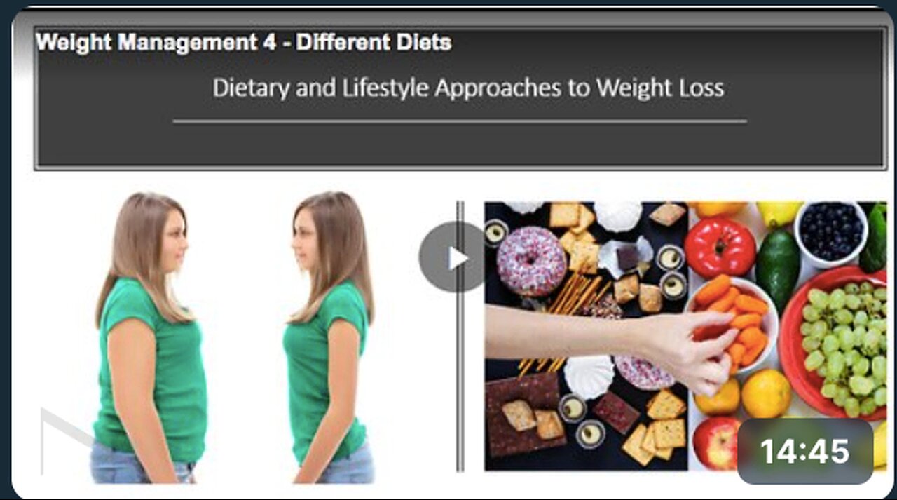 Know more about different diets that can help you maintain a healthy weight