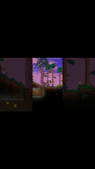 Propose, I suppose #terraria #proposal