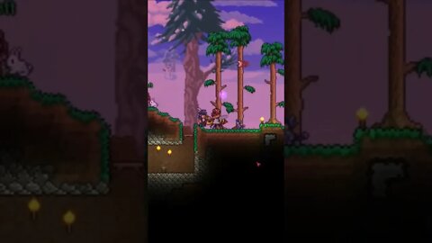 Propose, I suppose #terraria #proposal