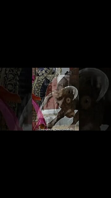 Borges sobre la Tauromaquia