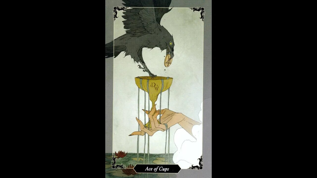 Dark Woods Tarot Gallery