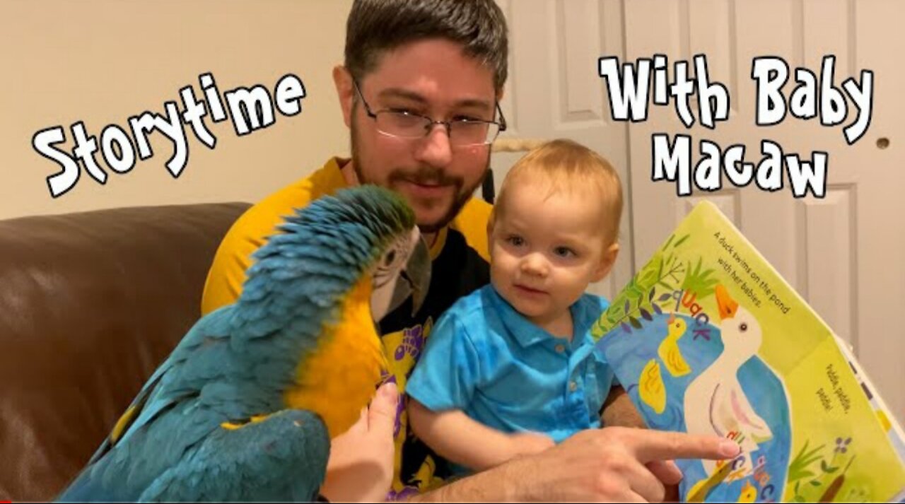 Storytime with Baby & Macaw