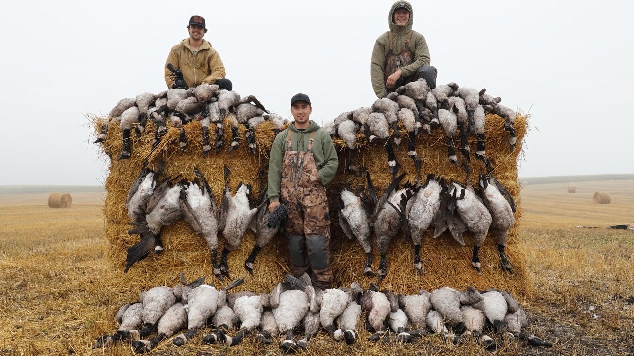 Goose Hunting 2021 64 Bird BEATDOWN! (IN THE FOG)!