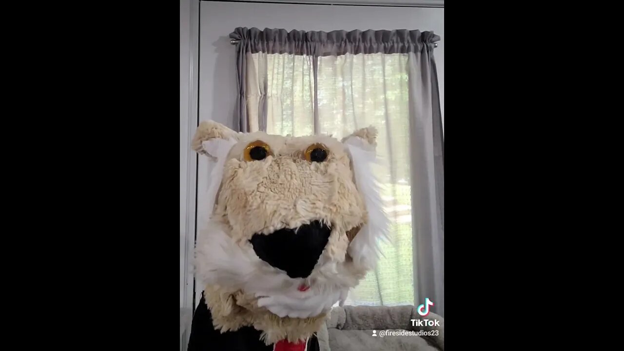 #viral #fyp #snowden #northbound#puppetry #puppetsofinstagram#puppetsofyoutube #pressconference