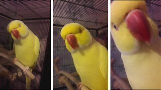 Morning tickles and kisses