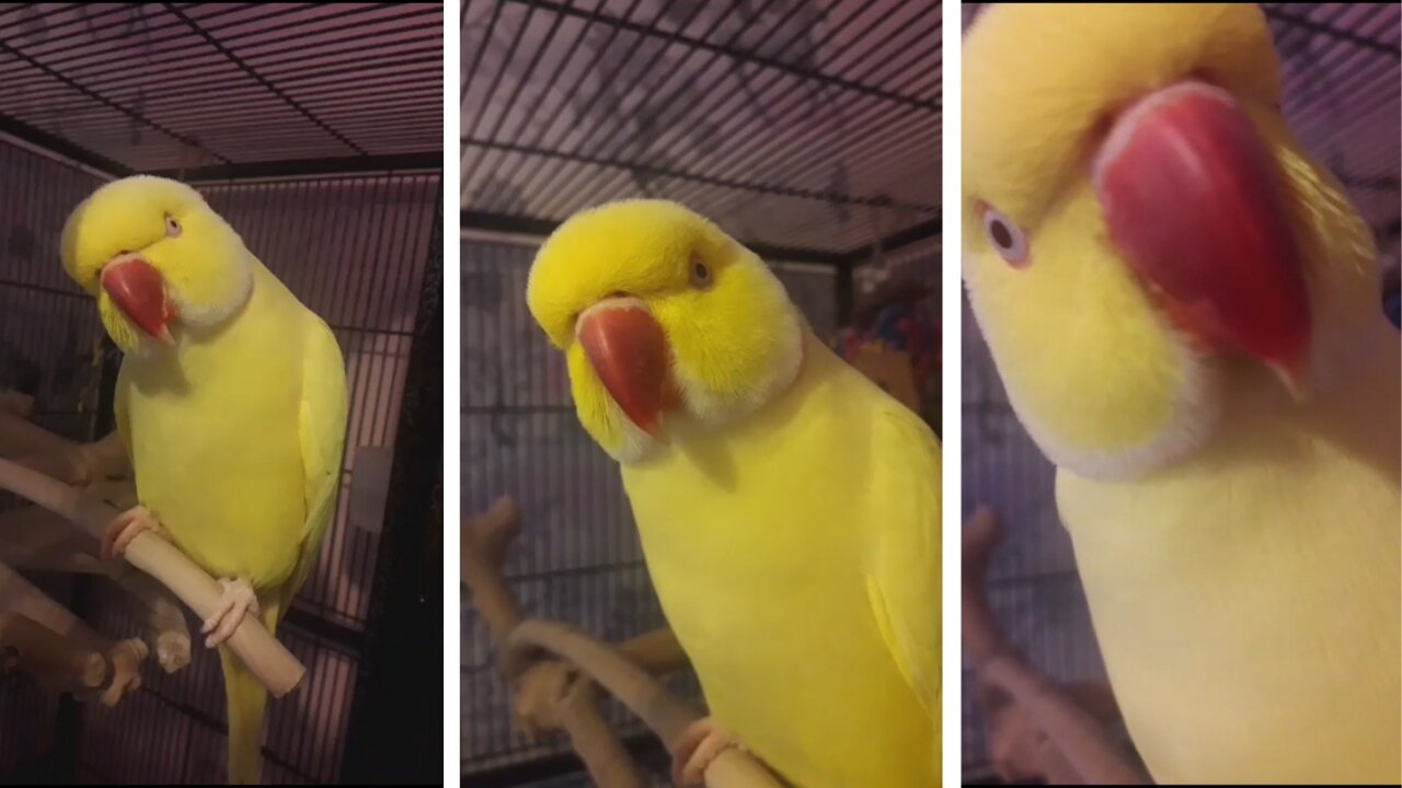 Morning tickles and kisses