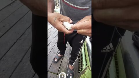 Early Fishing #trending #fypシ #videos #shortsvideo #funny #reels #shorts #fishing #short