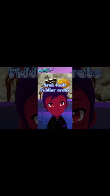 👑[Krab Fact: Fiddler crab]🦀