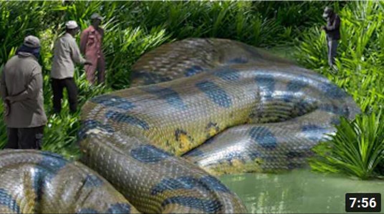 the 9 most dangerous animals in the world