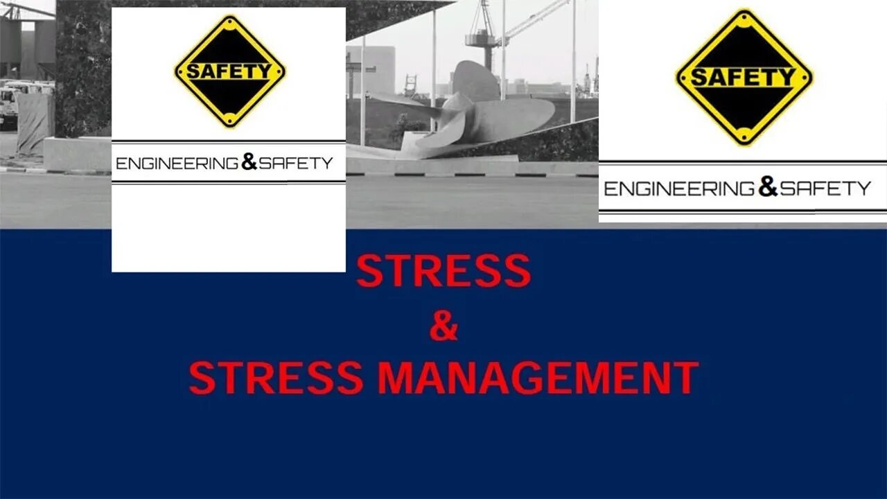 Stress & Stress Management Visual Media ebook